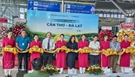 Daily Can Tho - Da Lat flight launched